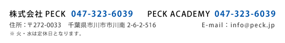 peck 272-0033 tsss2-6-2-516